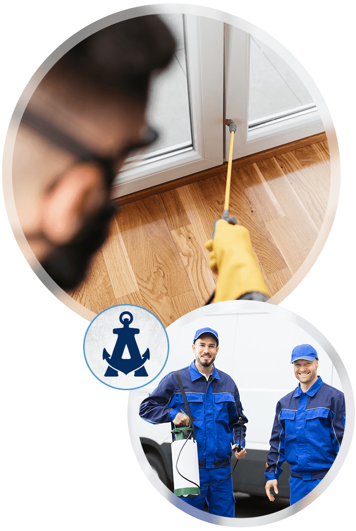Anchor Pest Services technician values